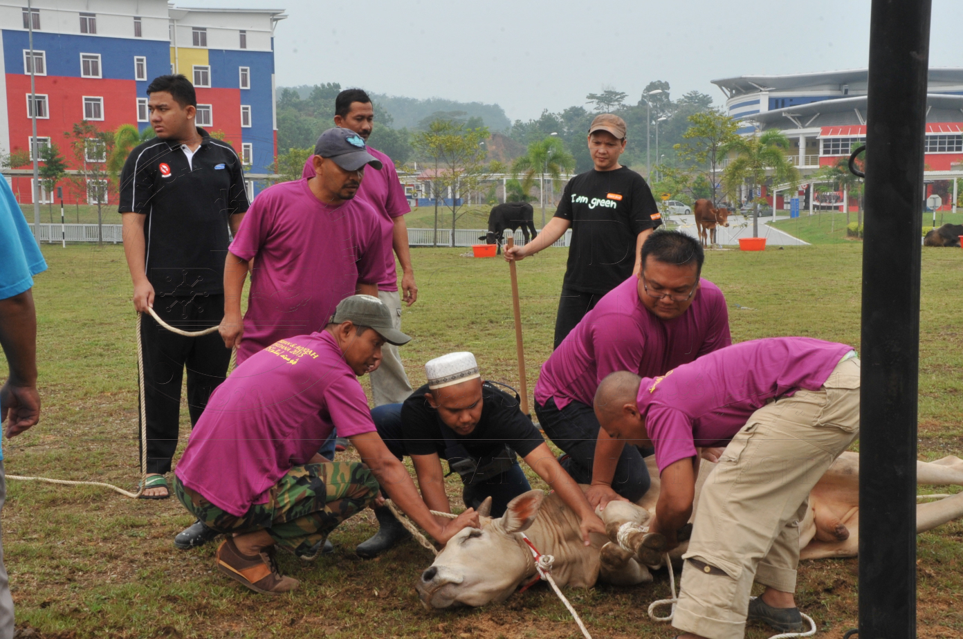 PRO15 150 KORBAN HAS 6680